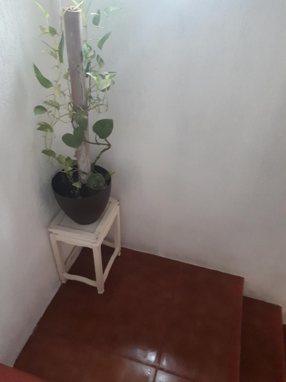 Mariposas Rooms Cancún Exterior foto